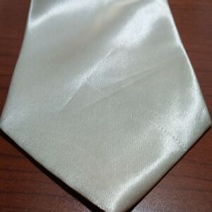 Elegant Cream Silk Tie